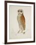 Bay Owl, 1824-J. Briois-Framed Art Print