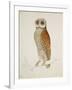 Bay Owl, 1824-J. Briois-Framed Art Print