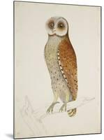Bay Owl, 1824-J. Briois-Mounted Art Print