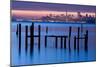 Bay Pilings – Sausalito-Jeffrey Murray-Mounted Photographic Print