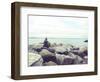 Bay Rocks IV-Sonja Quintero-Framed Photographic Print