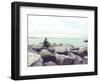 Bay Rocks IV-Sonja Quintero-Framed Photographic Print