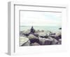 Bay Rocks IV-Sonja Quintero-Framed Photographic Print