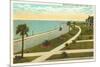 Bay Shore Drive, Tampa, Florida-null-Mounted Premium Giclee Print