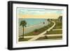 Bay Shore Drive, Tampa, Florida-null-Framed Art Print