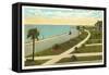 Bay Shore Drive, Tampa, Florida-null-Framed Stretched Canvas