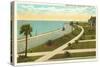 Bay Shore Drive, Tampa, Florida-null-Stretched Canvas