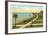 Bay Shore Drive, Tampa, Florida-null-Framed Art Print