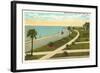 Bay Shore Drive, Tampa, Florida-null-Framed Art Print