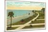 Bay Shore Drive, Tampa, Florida-null-Mounted Art Print