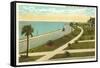 Bay Shore Drive, Tampa, Florida-null-Framed Stretched Canvas