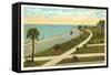 Bay Shore Drive, Tampa, Florida-null-Framed Stretched Canvas