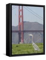 Bay Spill-Paul Sakuma-Framed Stretched Canvas