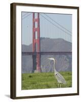 Bay Spill-Paul Sakuma-Framed Photographic Print