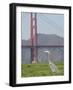 Bay Spill-Paul Sakuma-Framed Photographic Print