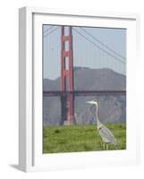 Bay Spill-Paul Sakuma-Framed Photographic Print