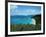 Bay, St. John, US Virgin Islands-Barry Winiker-Framed Photographic Print