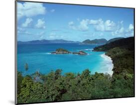 Bay, St. John, US Virgin Islands-Barry Winiker-Mounted Photographic Print