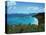 Bay, St. John, US Virgin Islands-Barry Winiker-Stretched Canvas