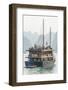 Bay, Vietnam (UNESCO World Heritage Site). Junk in the bay.-Tom Haseltine-Framed Photographic Print