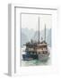 Bay, Vietnam (UNESCO World Heritage Site). Junk in the bay.-Tom Haseltine-Framed Photographic Print