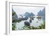 Bay, Vietnam (UNESCO World Heritage Site). Junks in the bay.-Tom Haseltine-Framed Photographic Print