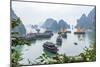 Bay, Vietnam (UNESCO World Heritage Site). Junks in the bay.-Tom Haseltine-Mounted Photographic Print