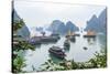 Bay, Vietnam (UNESCO World Heritage Site). Junks in the bay.-Tom Haseltine-Stretched Canvas