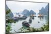 Bay, Vietnam (UNESCO World Heritage Site). Junks in the bay.-Tom Haseltine-Mounted Photographic Print