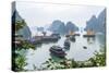 Bay, Vietnam (UNESCO World Heritage Site). Junks in the bay.-Tom Haseltine-Stretched Canvas