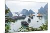 Bay, Vietnam (UNESCO World Heritage Site). Junks in the bay.-Tom Haseltine-Mounted Photographic Print
