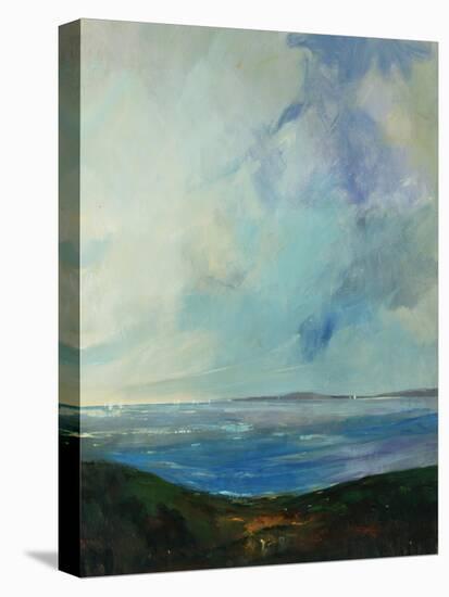 Bay View II-Tim O'toole-Stretched Canvas