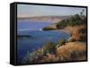 Bay VIew-Tim O'toole-Framed Stretched Canvas