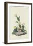 Bay-winged Bunting, 1830-John James Audubon-Framed Giclee Print