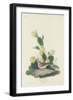 Bay-winged Bunting, 1830-John James Audubon-Framed Premium Giclee Print