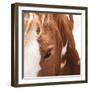 Bay-Ray Hartl-Framed Giclee Print