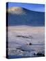 Bayan-Olgii Province, Yurts in Winter, Mongolia-Paul Harris-Stretched Canvas