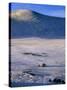 Bayan-Olgii Province, Yurts in Winter, Mongolia-Paul Harris-Stretched Canvas