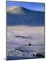 Bayan-Olgii Province, Yurts in Winter, Mongolia-Paul Harris-Mounted Photographic Print