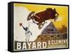 Bayard Poster-null-Framed Stretched Canvas