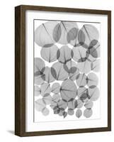 Baybean Leaves-Albert Koetsier-Framed Art Print