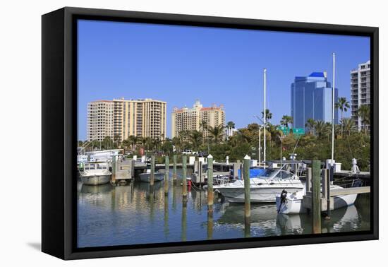 Bayfront Marina, Sarasota, Florida, United States of America, North America-Richard Cummins-Framed Stretched Canvas