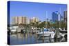 Bayfront Marina, Sarasota, Florida, United States of America, North America-Richard Cummins-Stretched Canvas