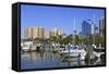 Bayfront Marina, Sarasota, Florida, United States of America, North America-Richard Cummins-Framed Stretched Canvas