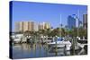 Bayfront Marina, Sarasota, Florida, United States of America, North America-Richard Cummins-Stretched Canvas