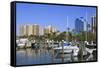 Bayfront Marina, Sarasota, Florida, United States of America, North America-Richard Cummins-Framed Stretched Canvas