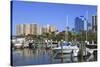 Bayfront Marina, Sarasota, Florida, United States of America, North America-Richard Cummins-Stretched Canvas