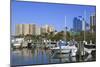 Bayfront Marina, Sarasota, Florida, United States of America, North America-Richard Cummins-Mounted Photographic Print