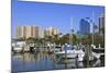 Bayfront Marina, Sarasota, Florida, United States of America, North America-Richard Cummins-Mounted Photographic Print