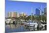 Bayfront Marina, Sarasota, Florida, United States of America, North America-Richard Cummins-Mounted Photographic Print